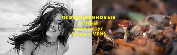 спиды Михайловск