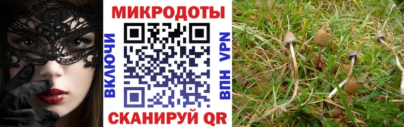 Галлюциногенные грибы Magic Shrooms Орёл
