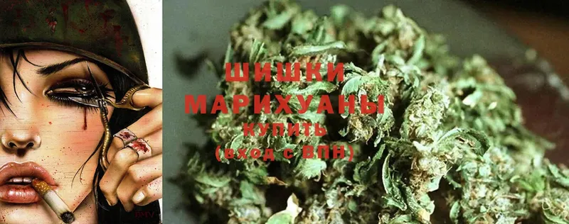 как найти закладки  Орёл  Марихуана SATIVA & INDICA 